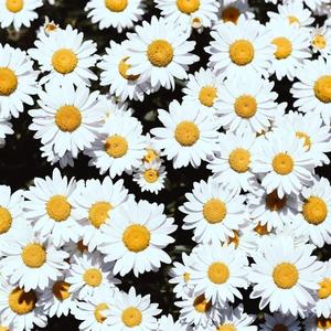 打女生光屁股网站推荐
