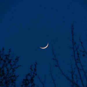 打女生光屁股网站推荐
